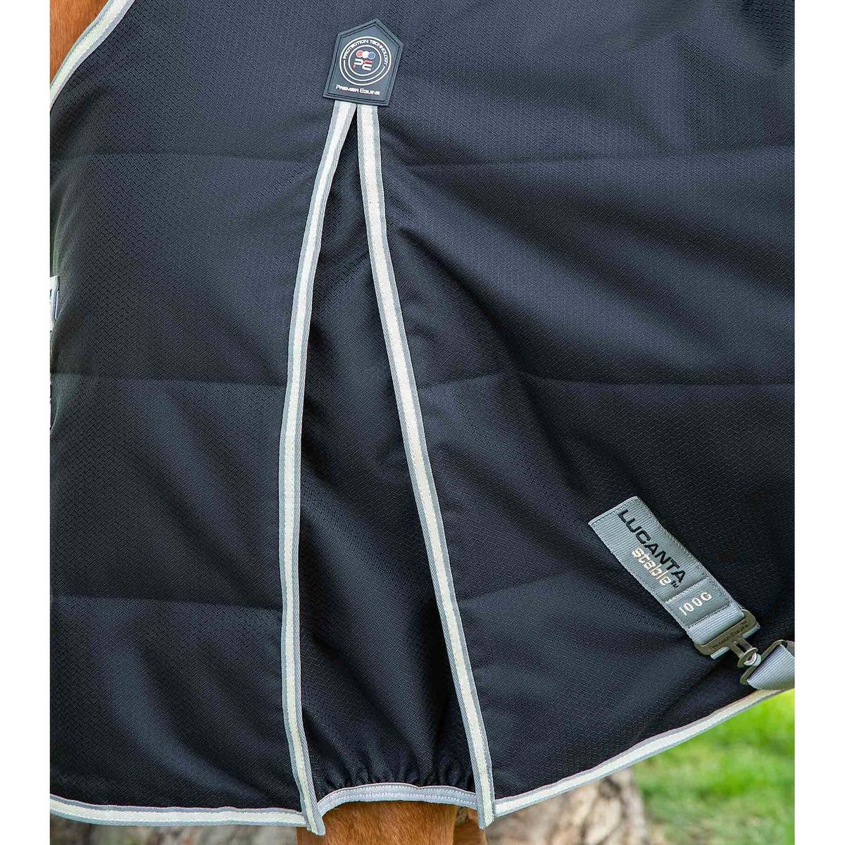product/p/r/premier-equine_223850b_2.jpg