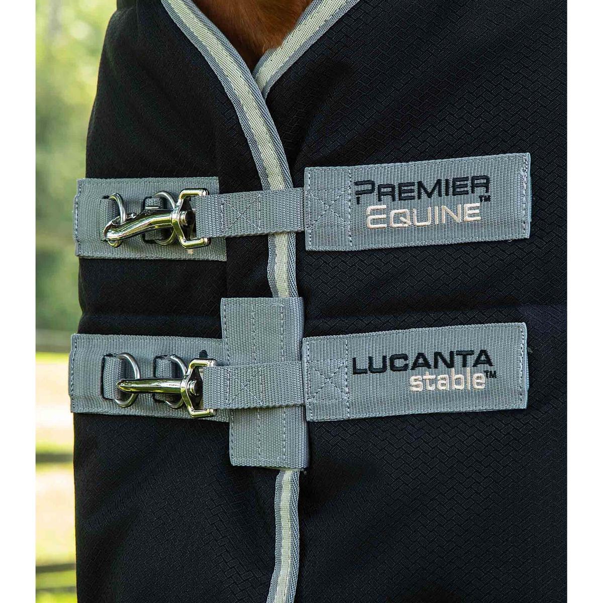 product/p/r/premier-equine_223850b_3.jpg