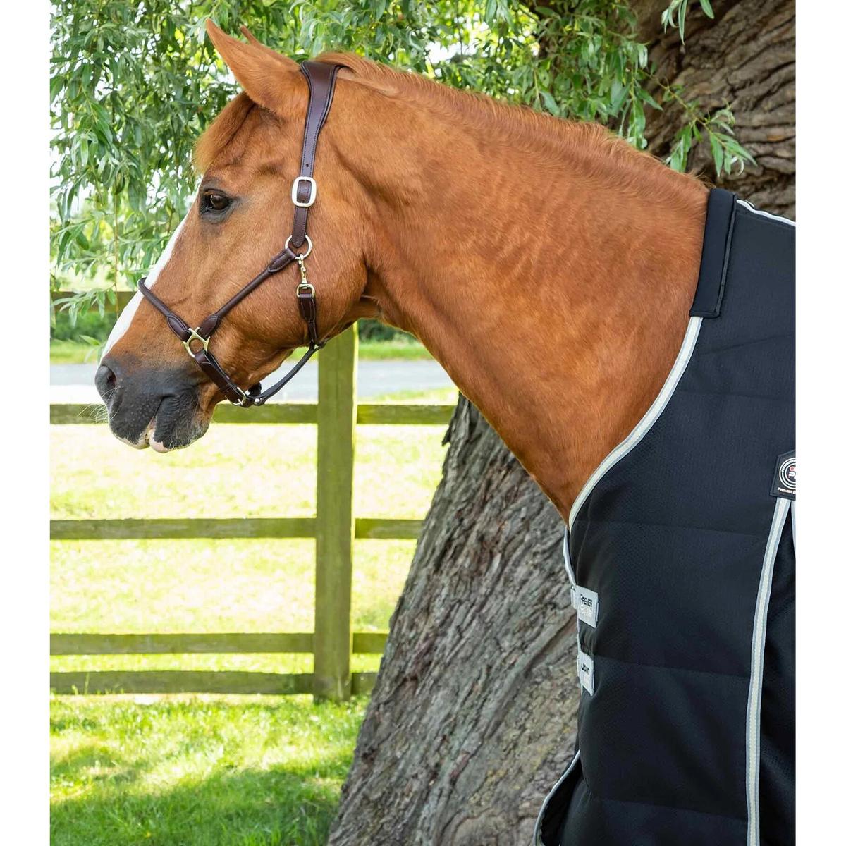 product/p/r/premier-equine_223850b_4.jpg