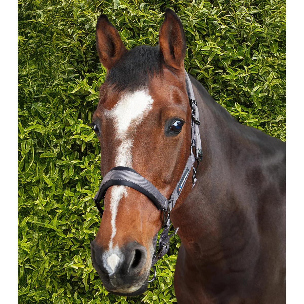 product/p/r/premier-equine_6150cgry_grey_6.jpg