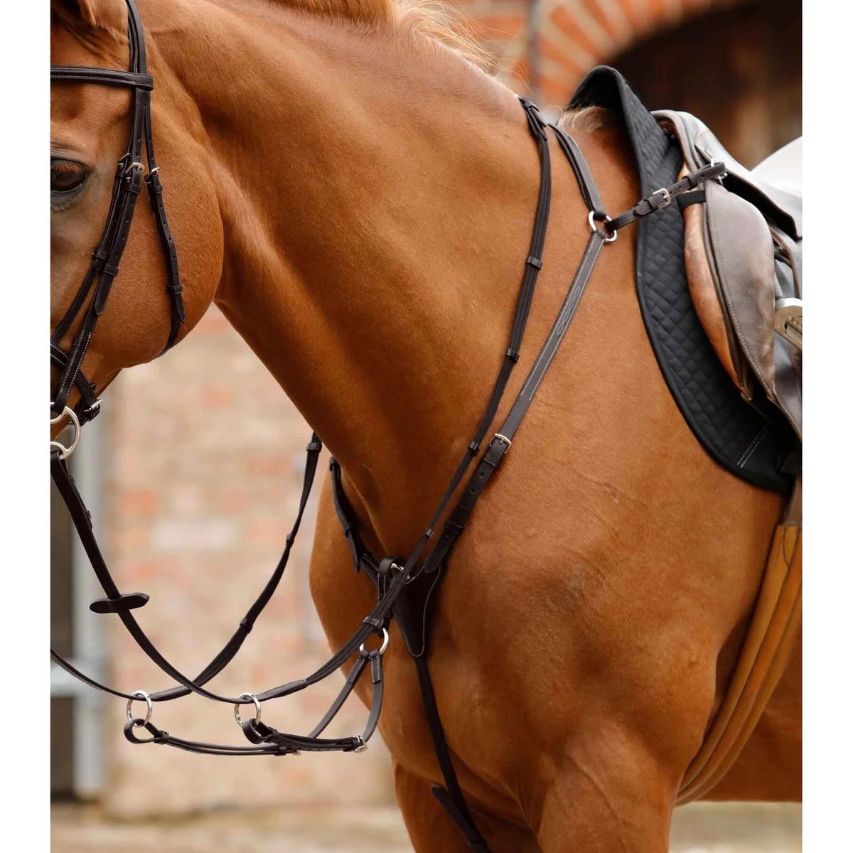 product/p/r/premier-equine_8033-cbrw_1.jpg