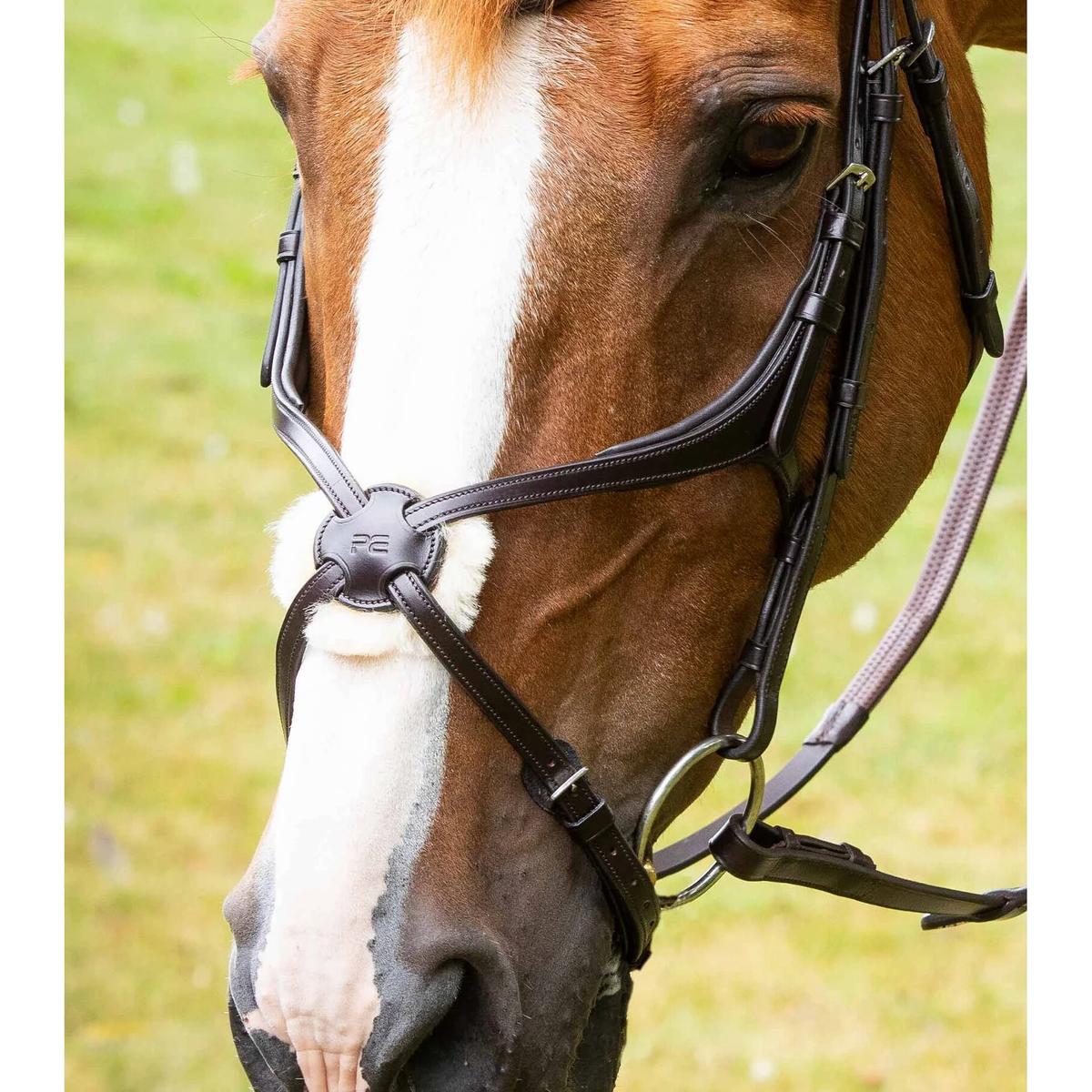 product/p/r/premier-equine_8100pbrw_1.jpg