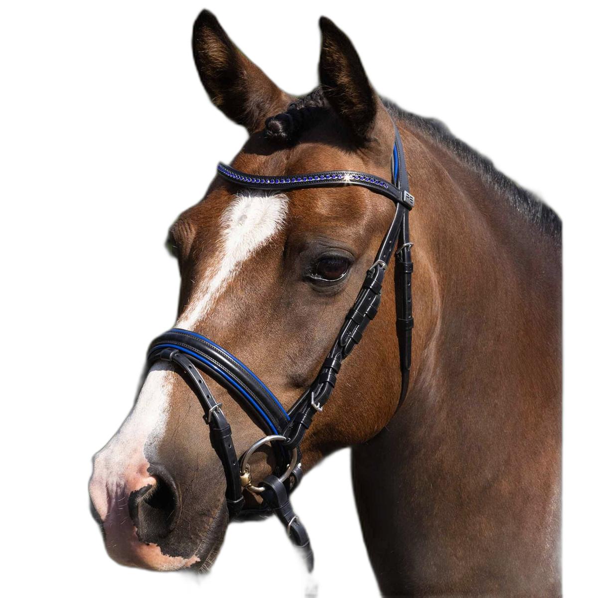 product/p/r/premier-equine_8121pblk_black_1.jpg