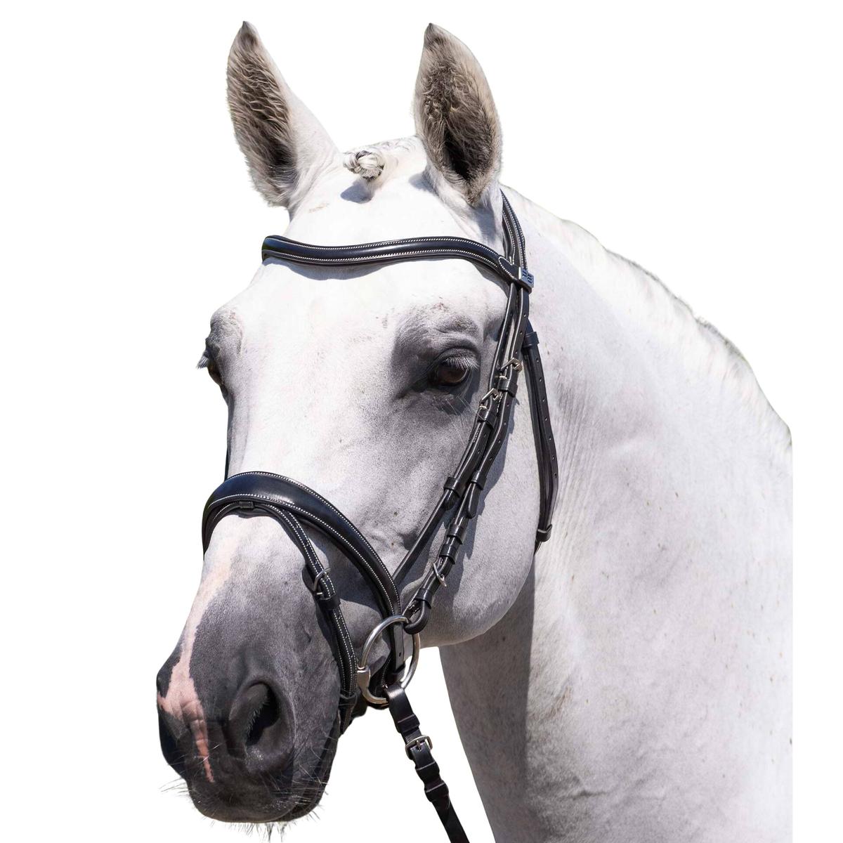 product/p/r/premier-equine_8125cblk_black_1.jpg
