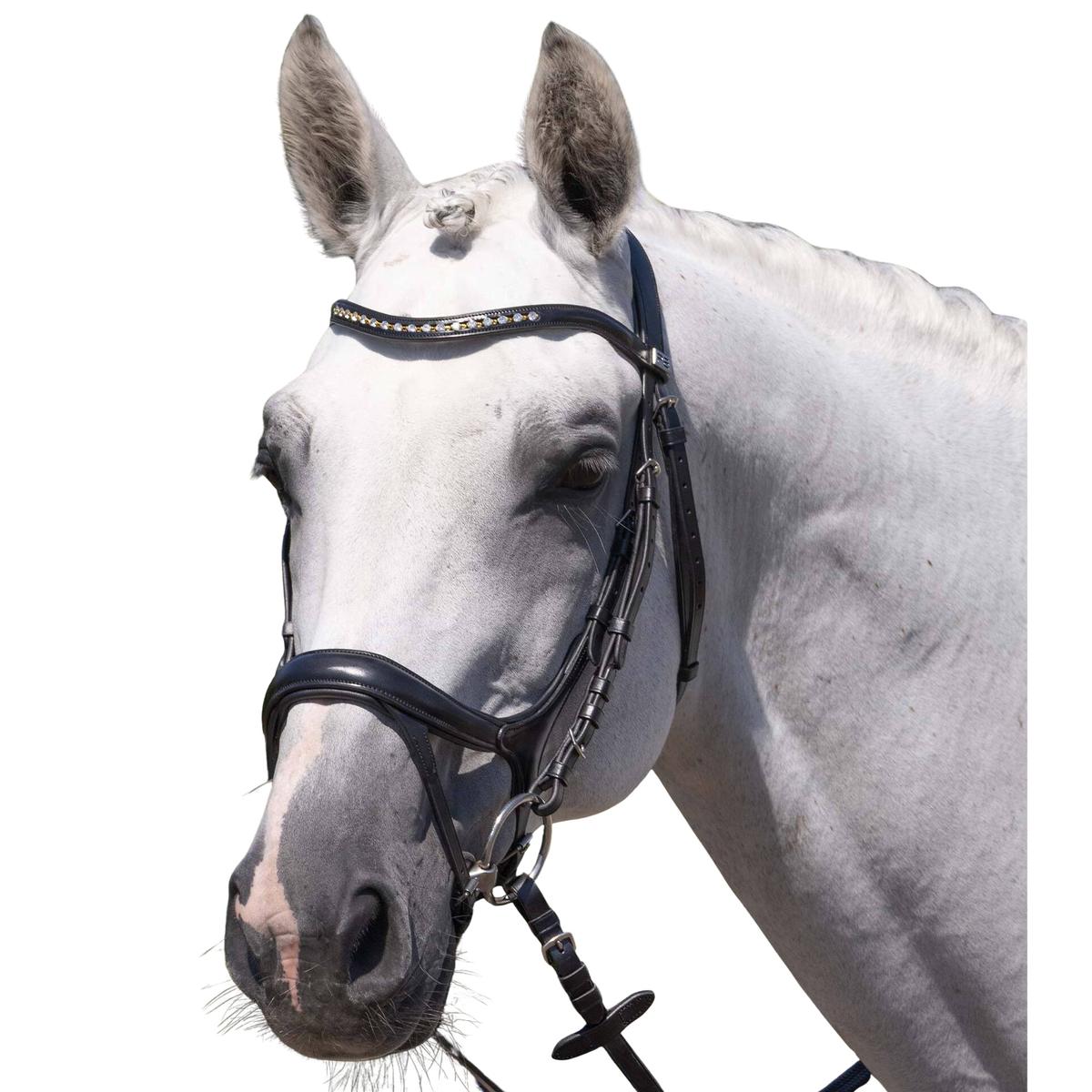 product/p/r/premier-equine_8128cblk_black_1.jpg