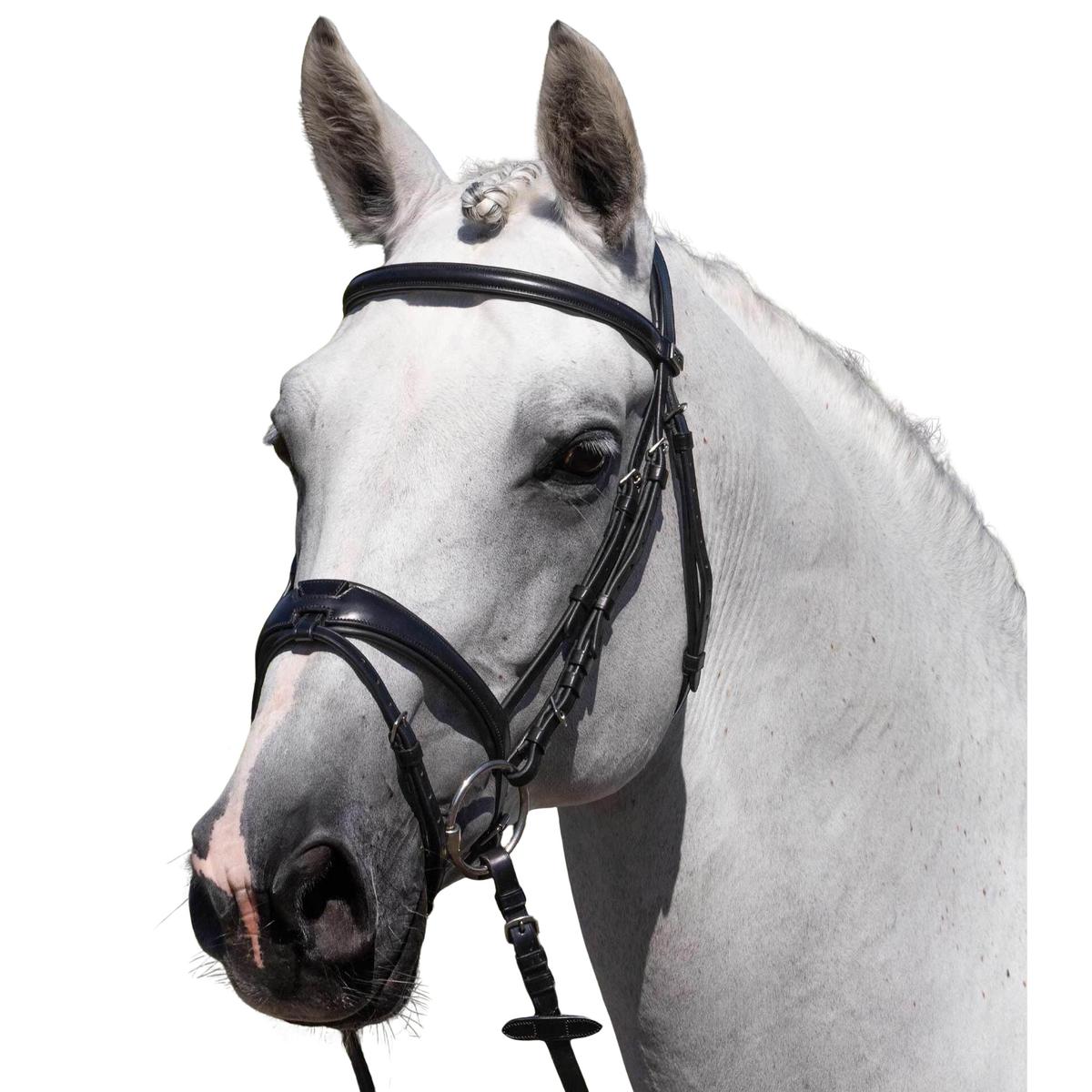 product/p/r/premier-equine_8139cblk_black_1.jpg