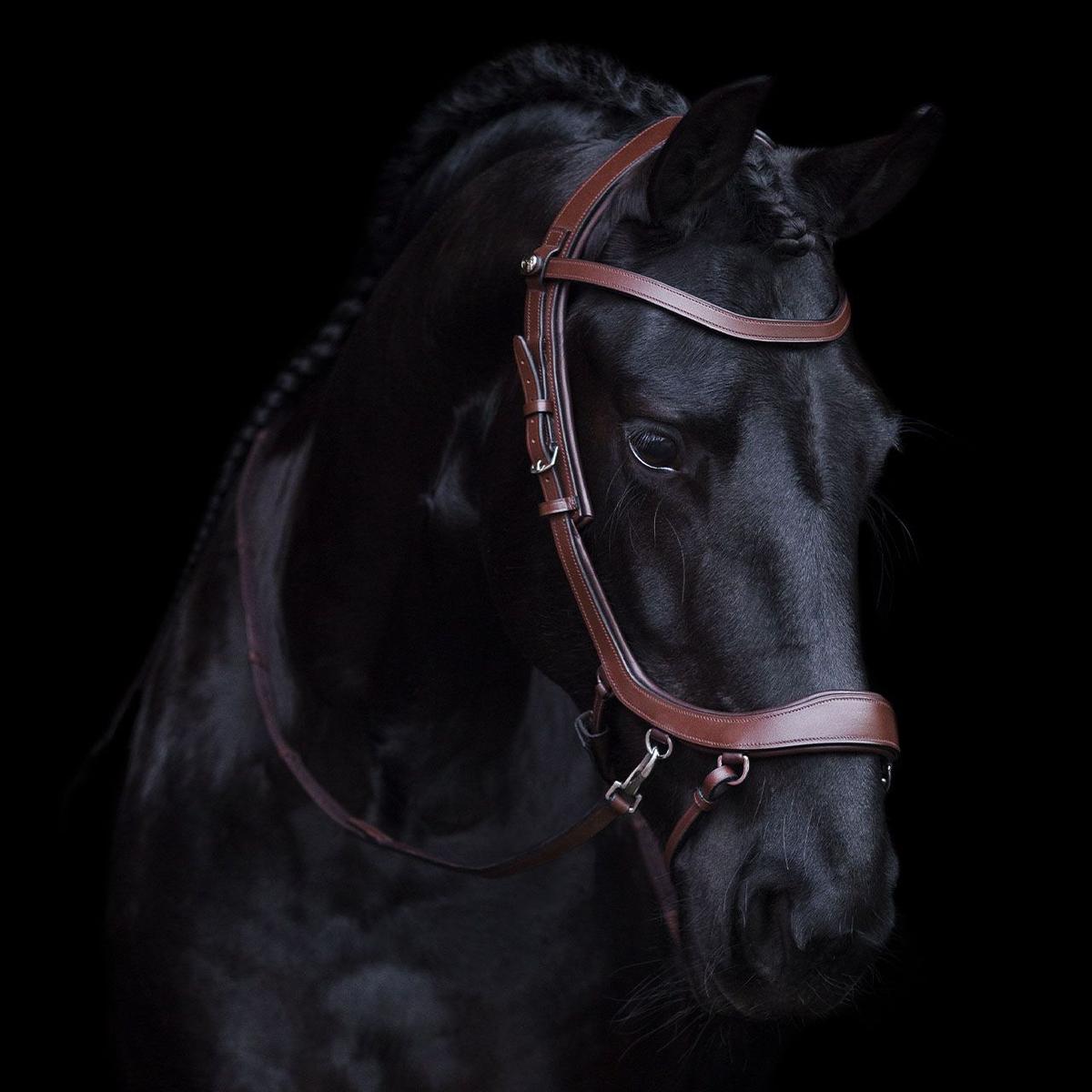 product/p/r/presteq_p725-br_marron_2.jpg