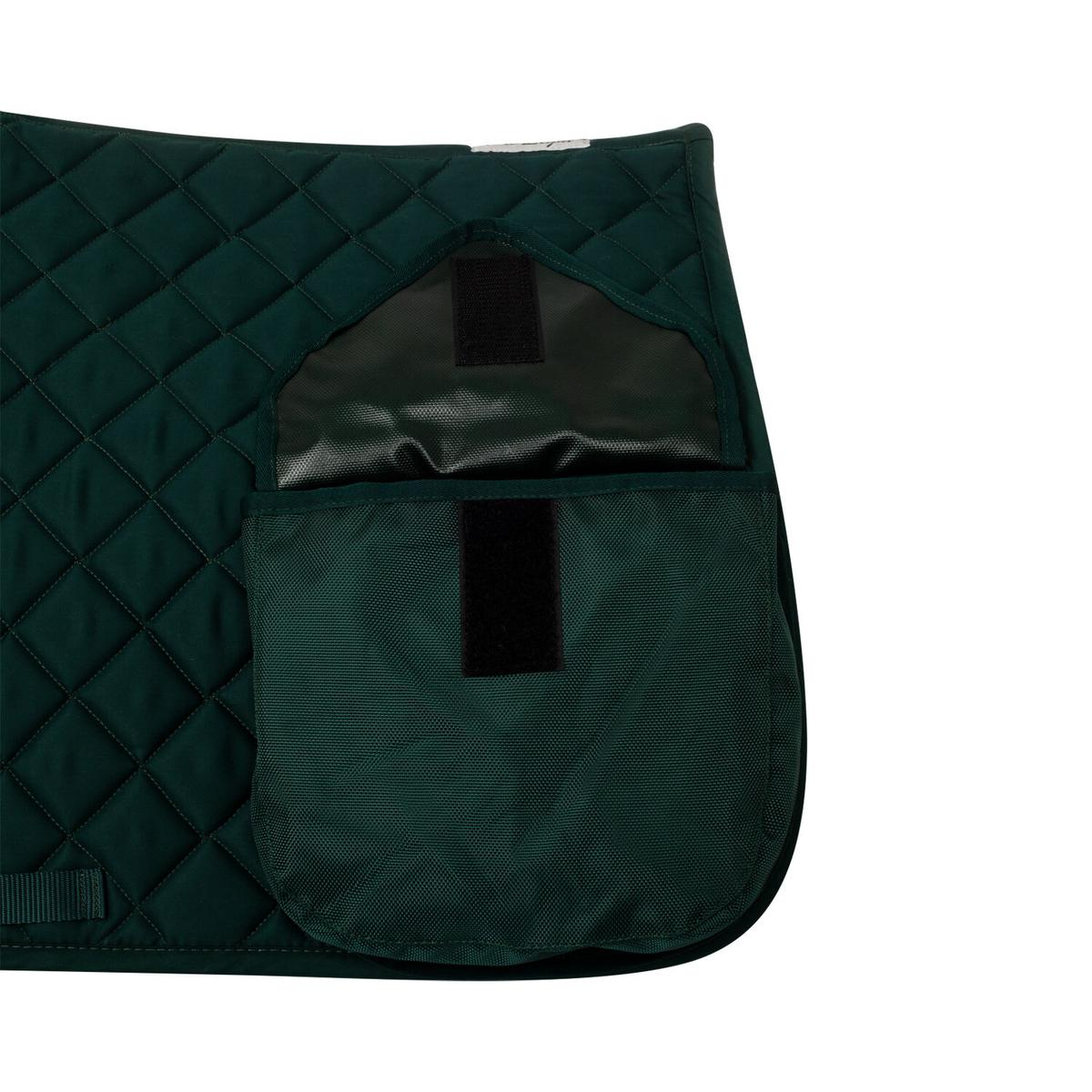 product/p/r/pro-light_ss00012-green_green_4.jpg