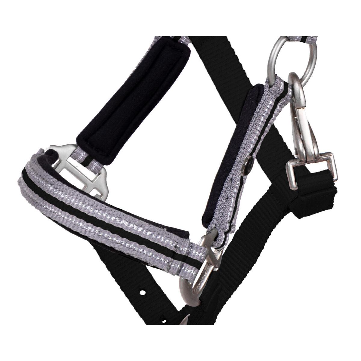 product/q/h/qhp_1164-zw_5.jpg
