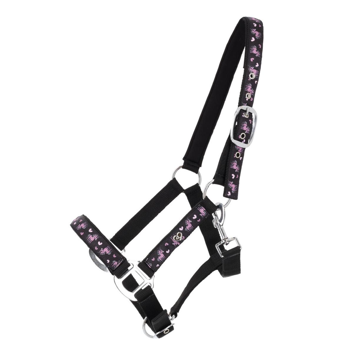 product/q/h/qhp_1200-zwvi_noir-violet_1.jpg