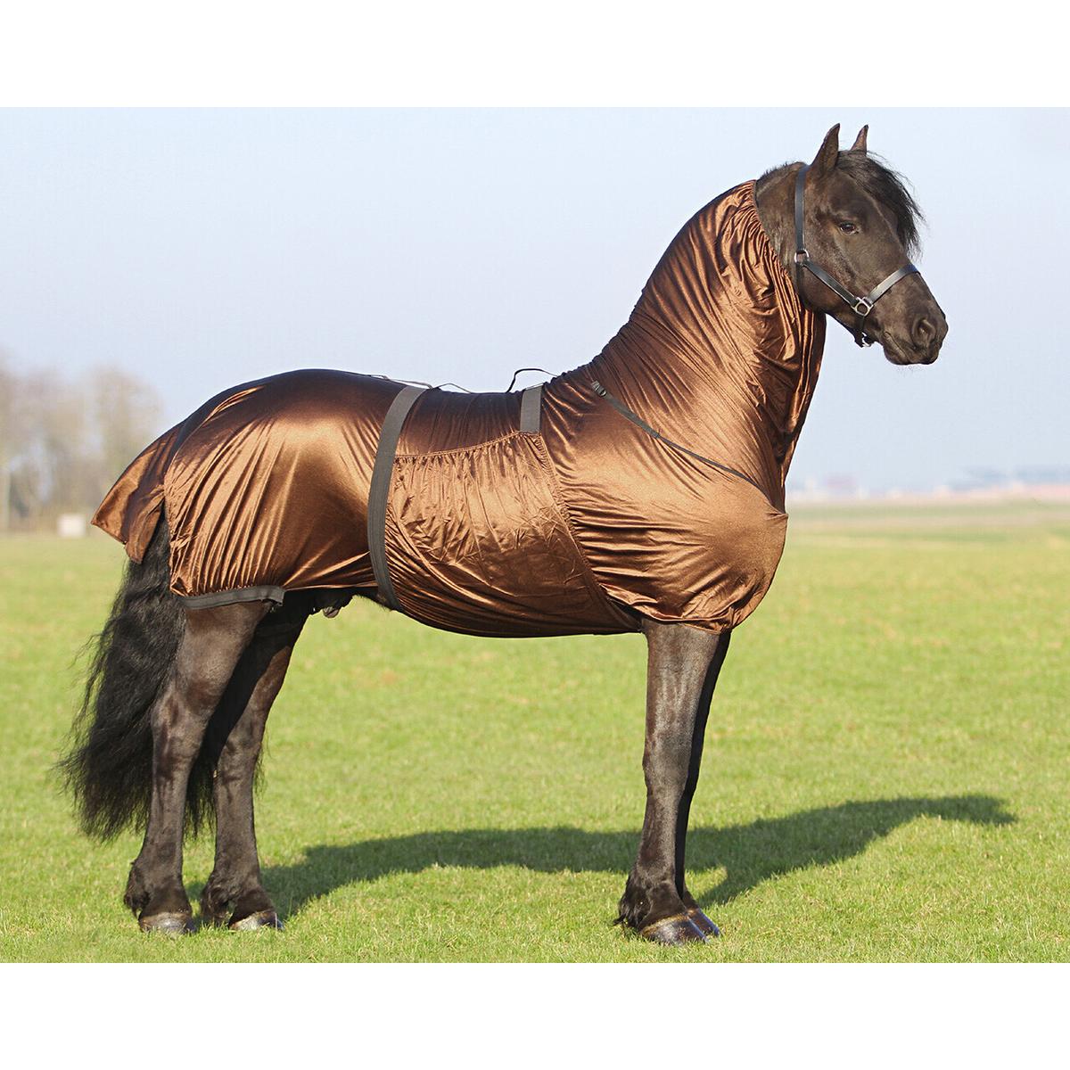 product/q/h/qhp_6005-br_0.jpg
