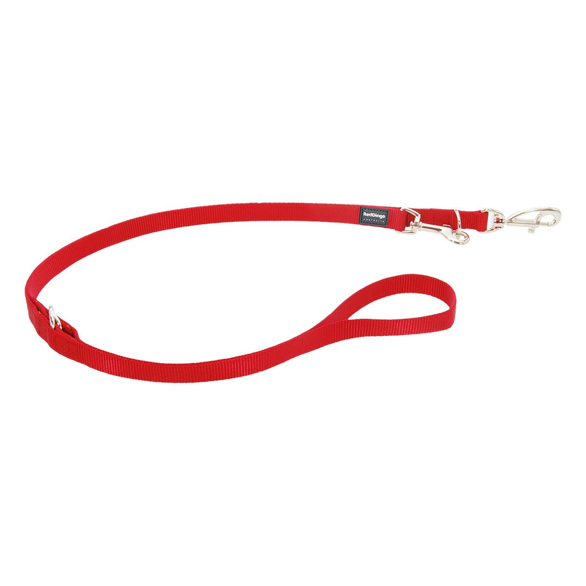 product/r/e/red-dingo_mp-zz-re.jpg