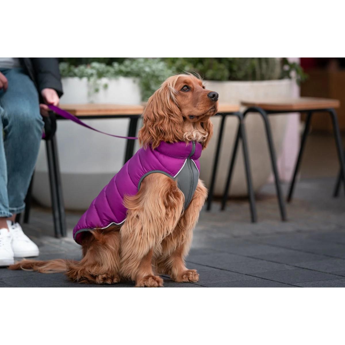 product/r/e/red-dingo_pj-pm-pu_rose-et-violet_5.jpg