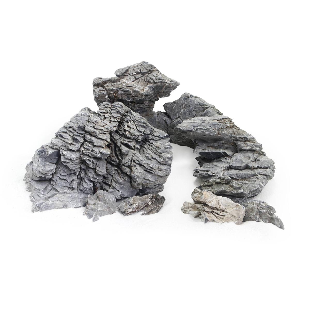 product/r/e/reptiles-planet_rp120506m_gris_1.jpg