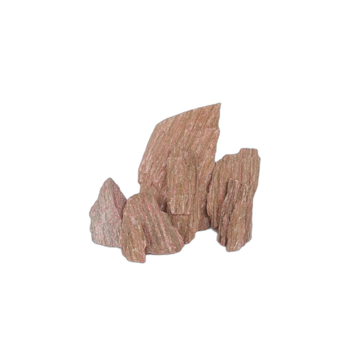 product/r/e/reptiles-planet_rp120514m_rouge_1.jpg