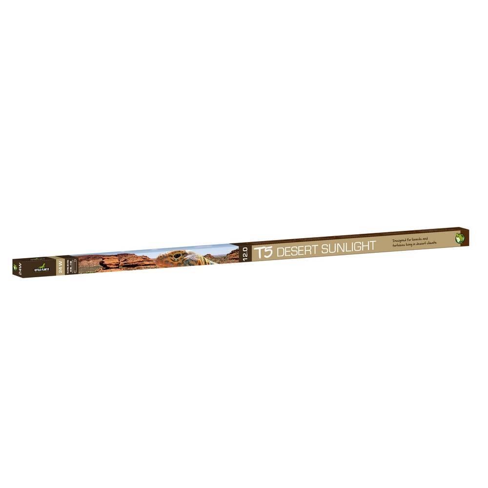 product/r/e/reptiles-planet_rp870618_marron_1.jpg