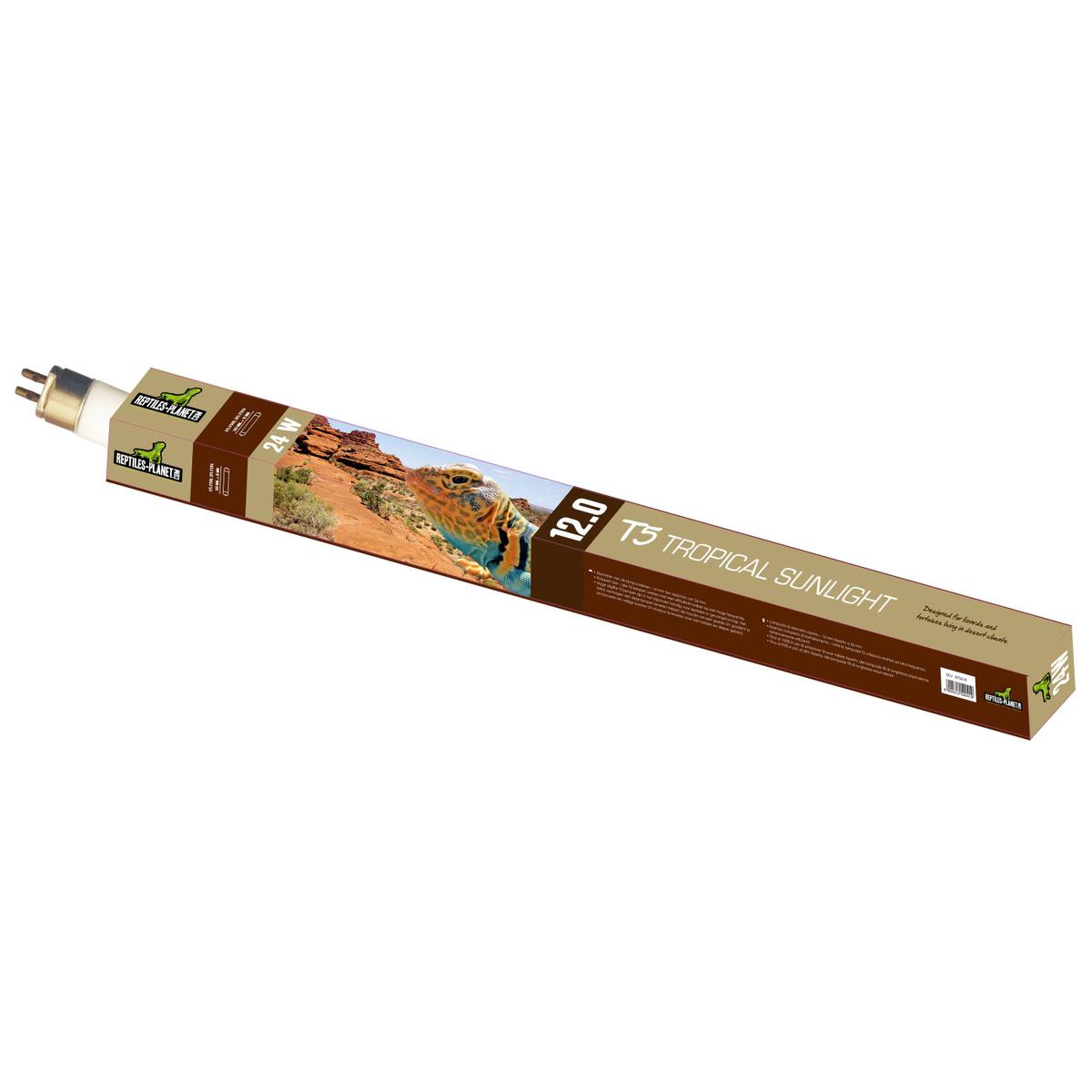 product/r/e/reptiles-planet_rp870618_marron_2.jpg
