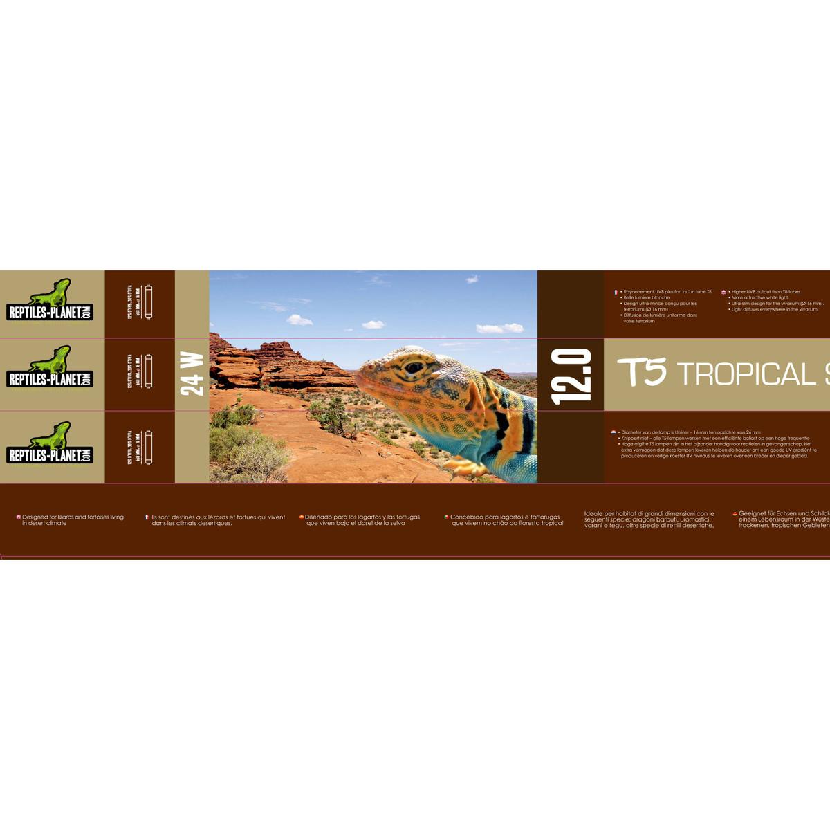product/r/e/reptiles-planet_rp870618_marron_3.jpg