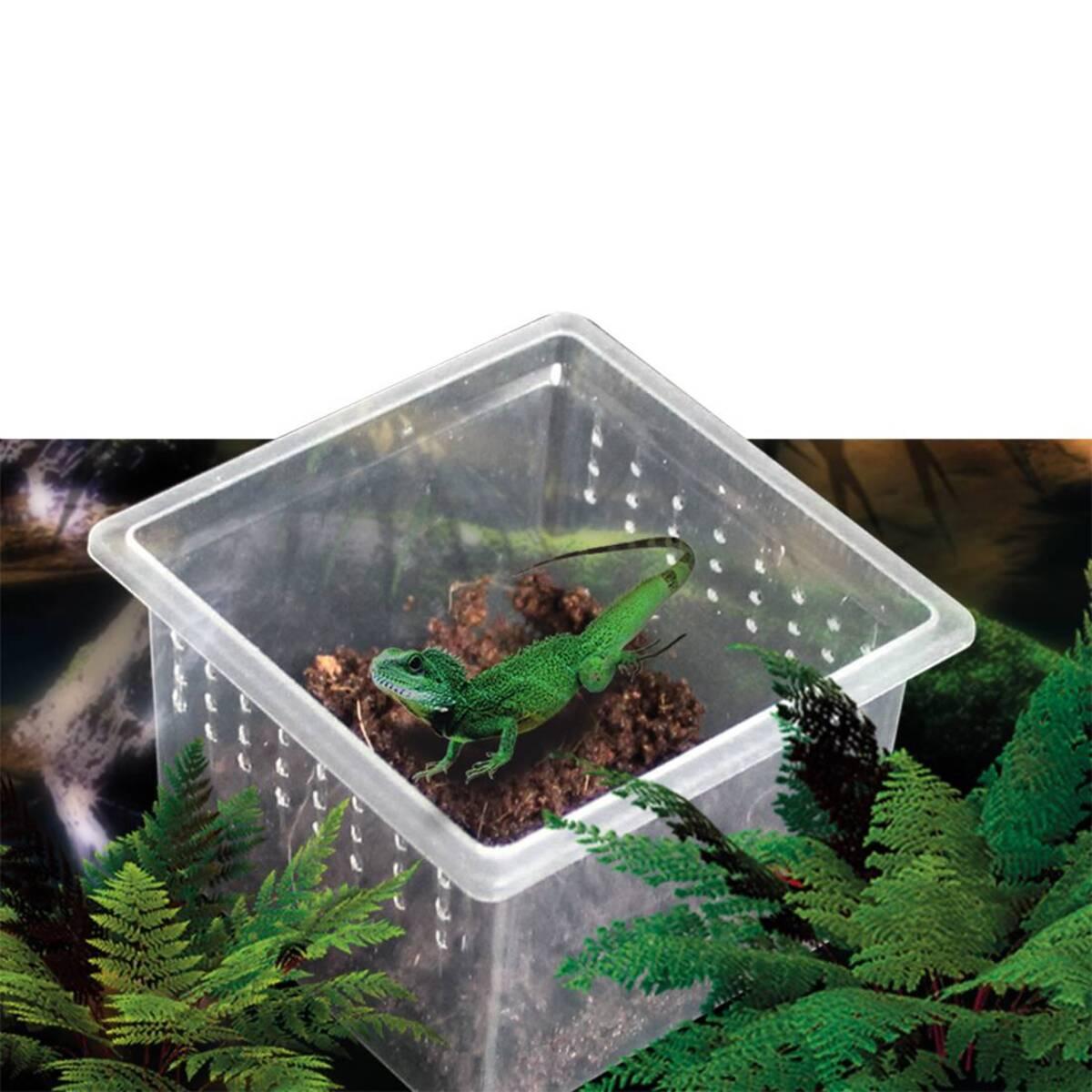 product/r/e/reptiles-planet_rp875971_gris_3.jpg