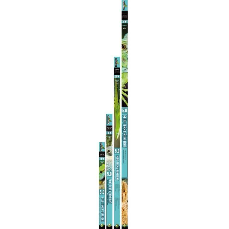 product/r/e/reptiles-planet_rp875974_bleu_3.jpg
