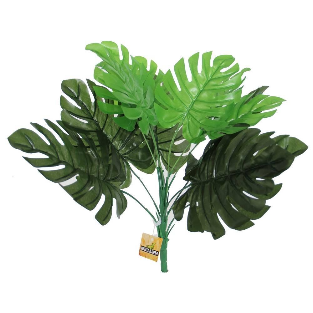 product/r/e/reptiles-planet_rp876029_vert_1.jpg