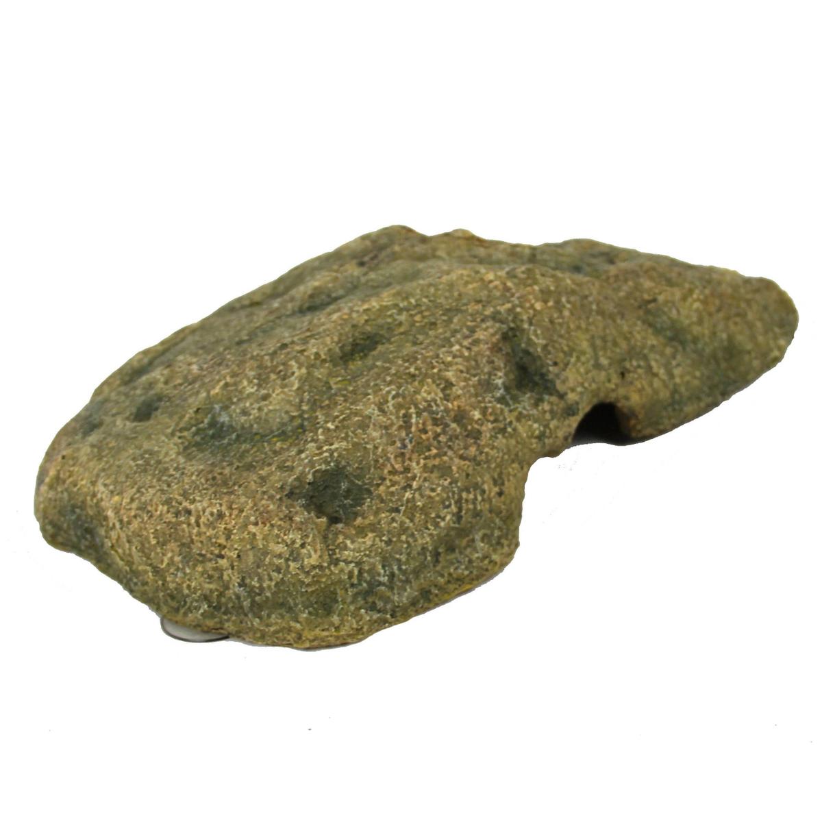 product/r/e/reptiles-planet_rp876172_vert_4.jpg