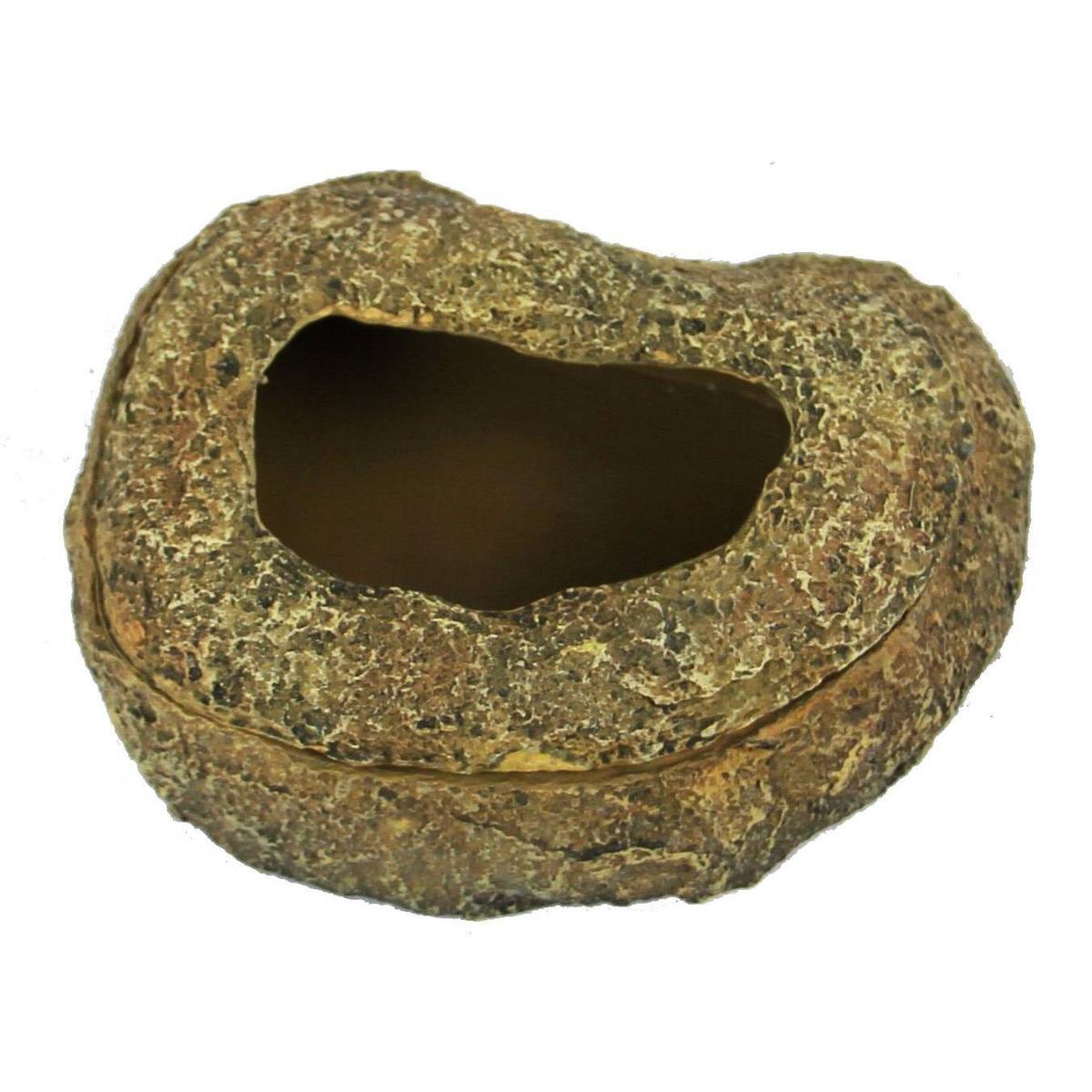 product/r/e/reptiles-planet_rp876176_vert_2.jpg