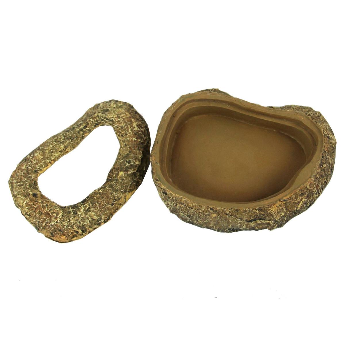 product/r/e/reptiles-planet_rp876176_vert_3.jpg