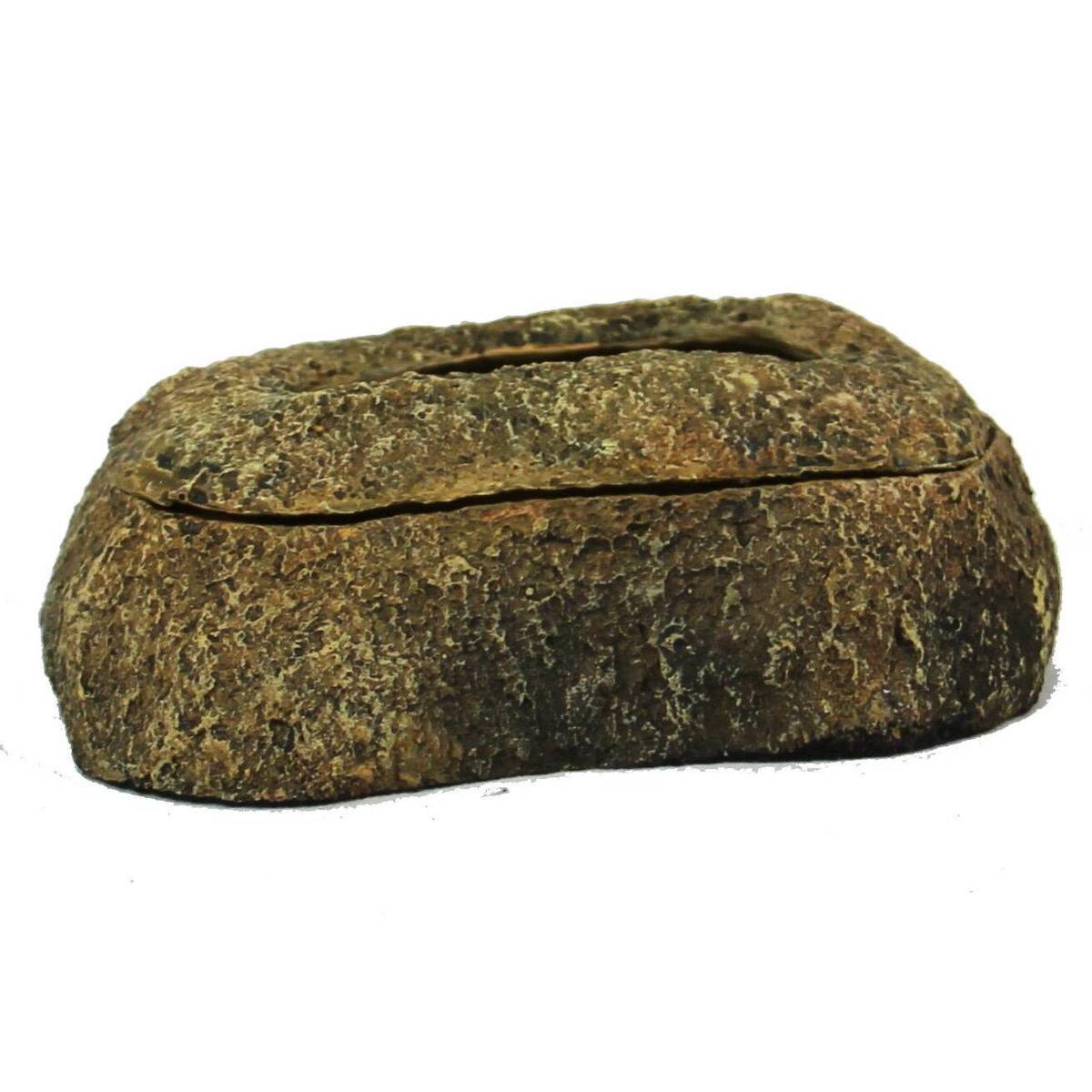 product/r/e/reptiles-planet_rp876176_vert_4.jpg