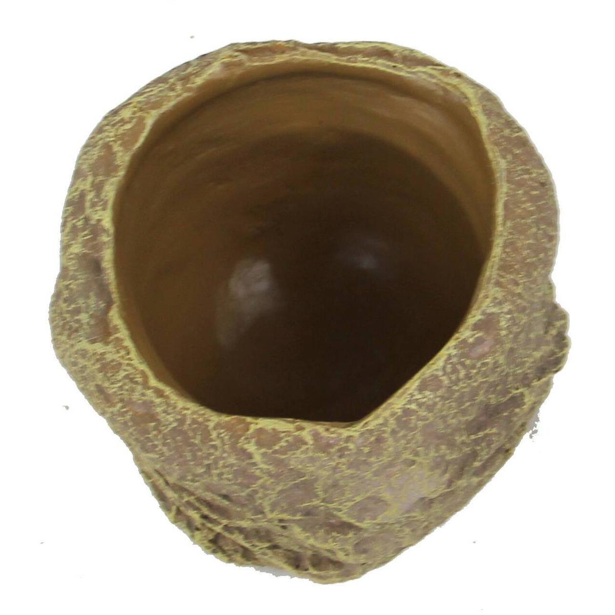 product/r/e/reptiles-planet_rp876219_beige_2.jpg
