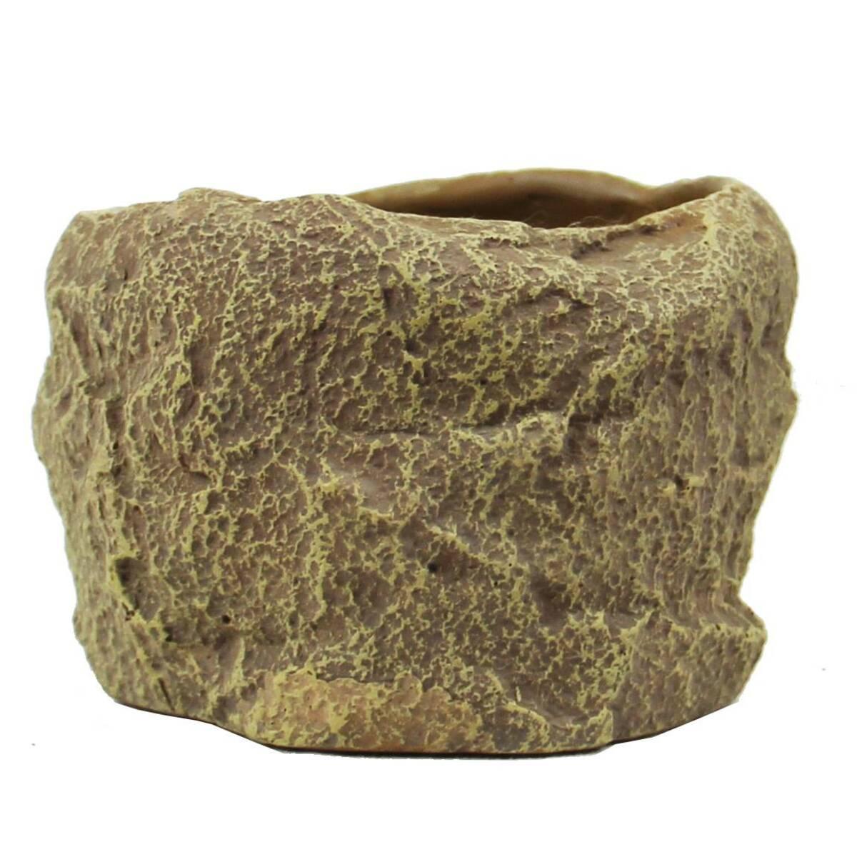 product/r/e/reptiles-planet_rp876219_beige_3.jpg