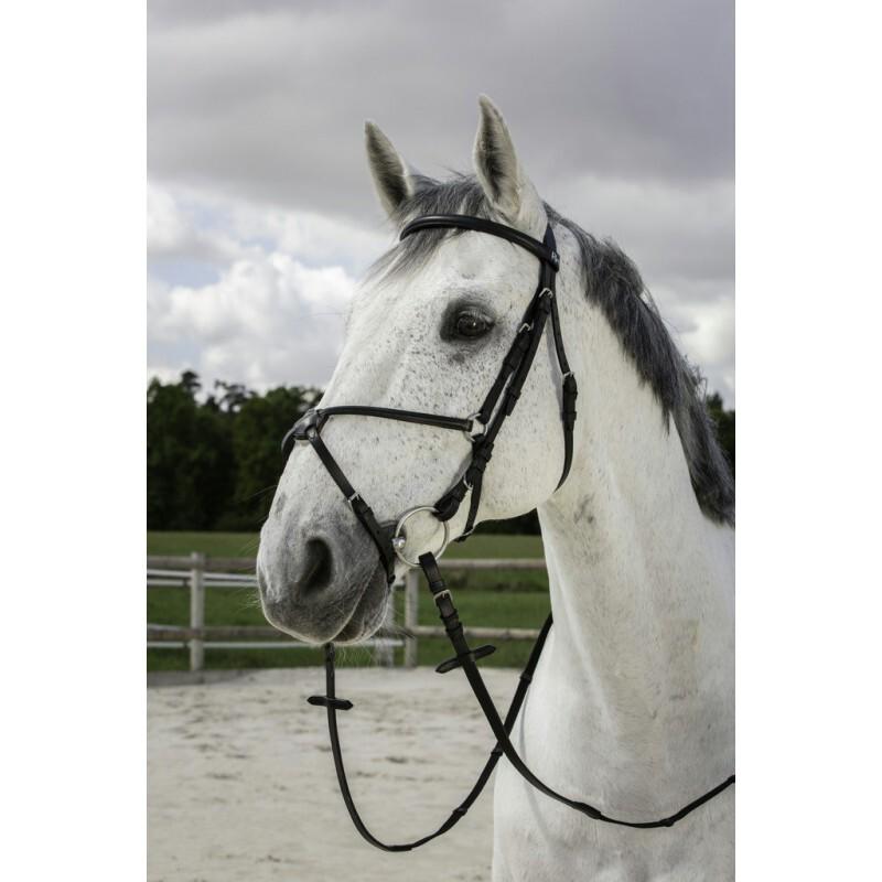 product/r/i/riding-world_301005102_6.jpg