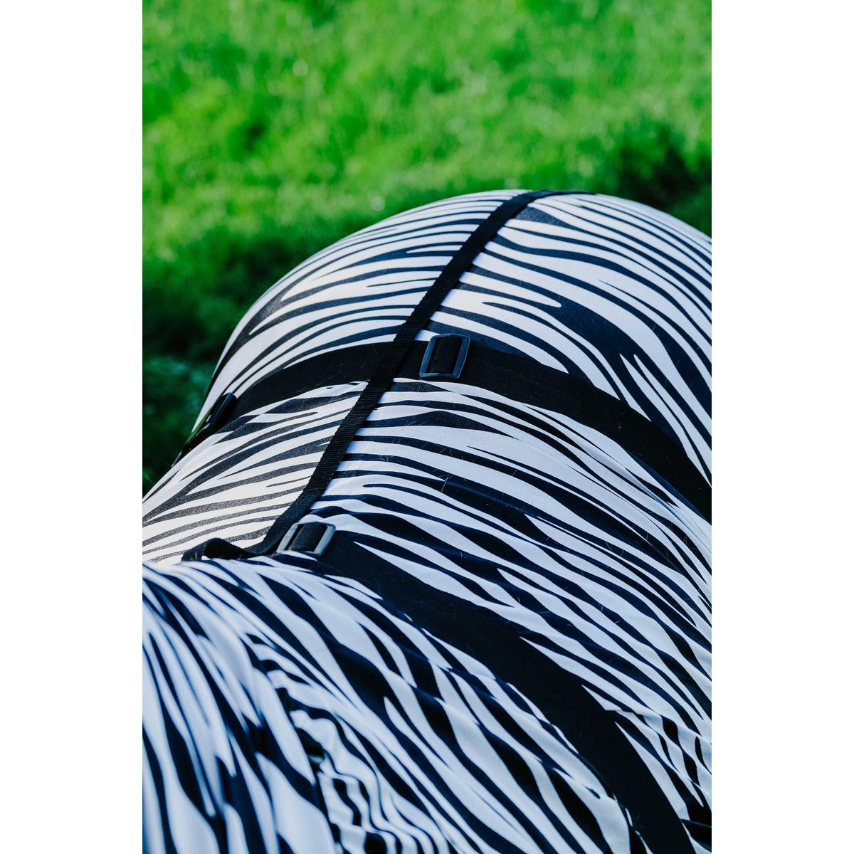 product/r/i/riding-world_400708043_zebre_6.jpg