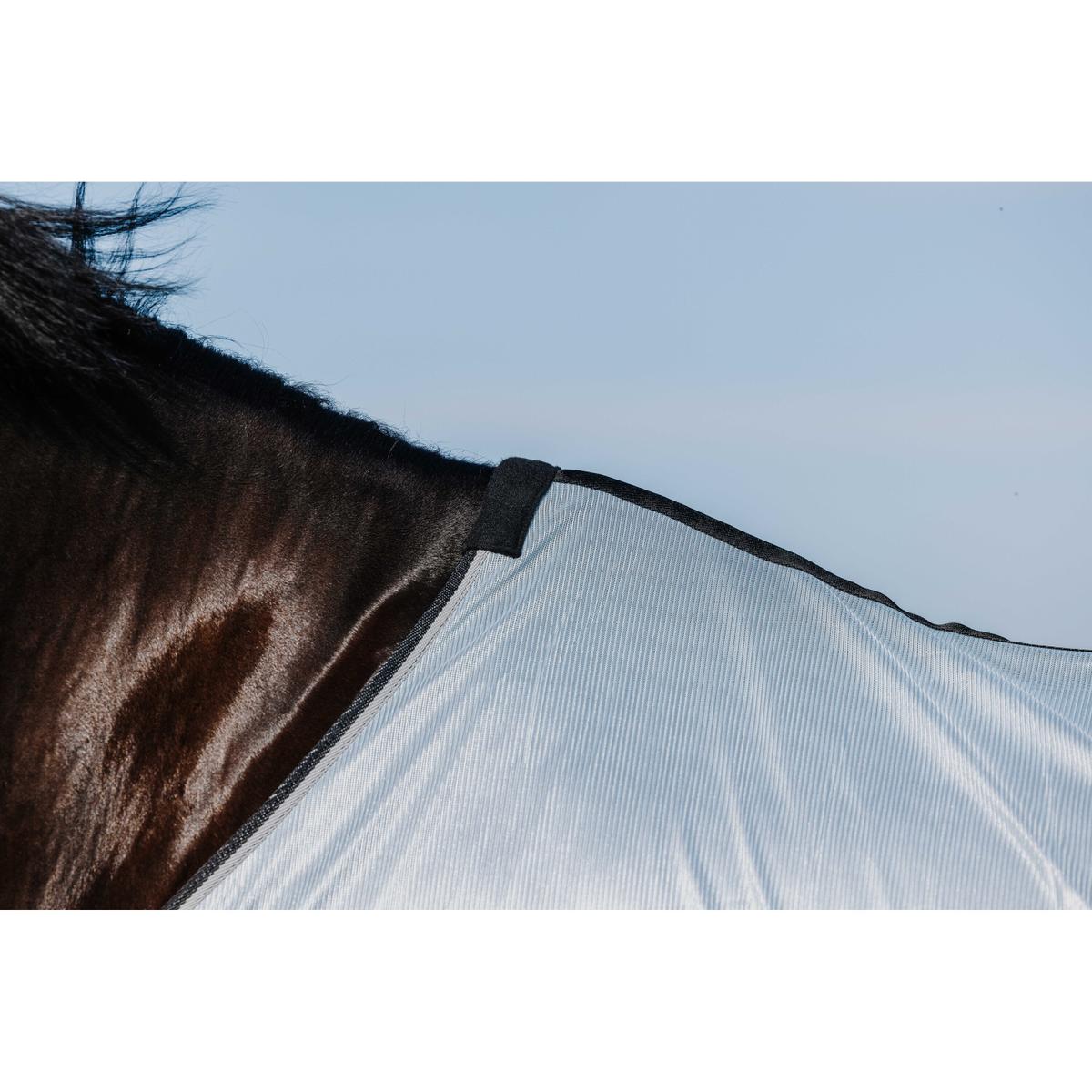 product/r/i/riding-world_400723056_gris_6.jpg