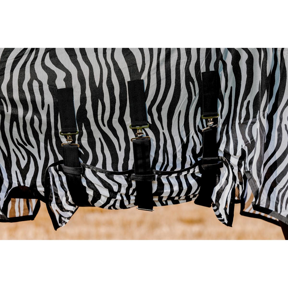 product/r/i/riding-world_400725056_zebre_6.jpg