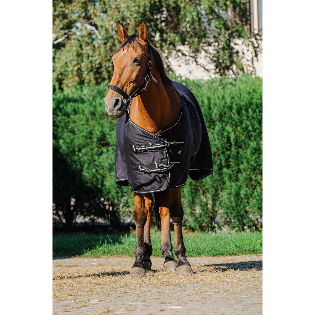 product/r/i/riding-world_400_709_063_ambi2.jpg