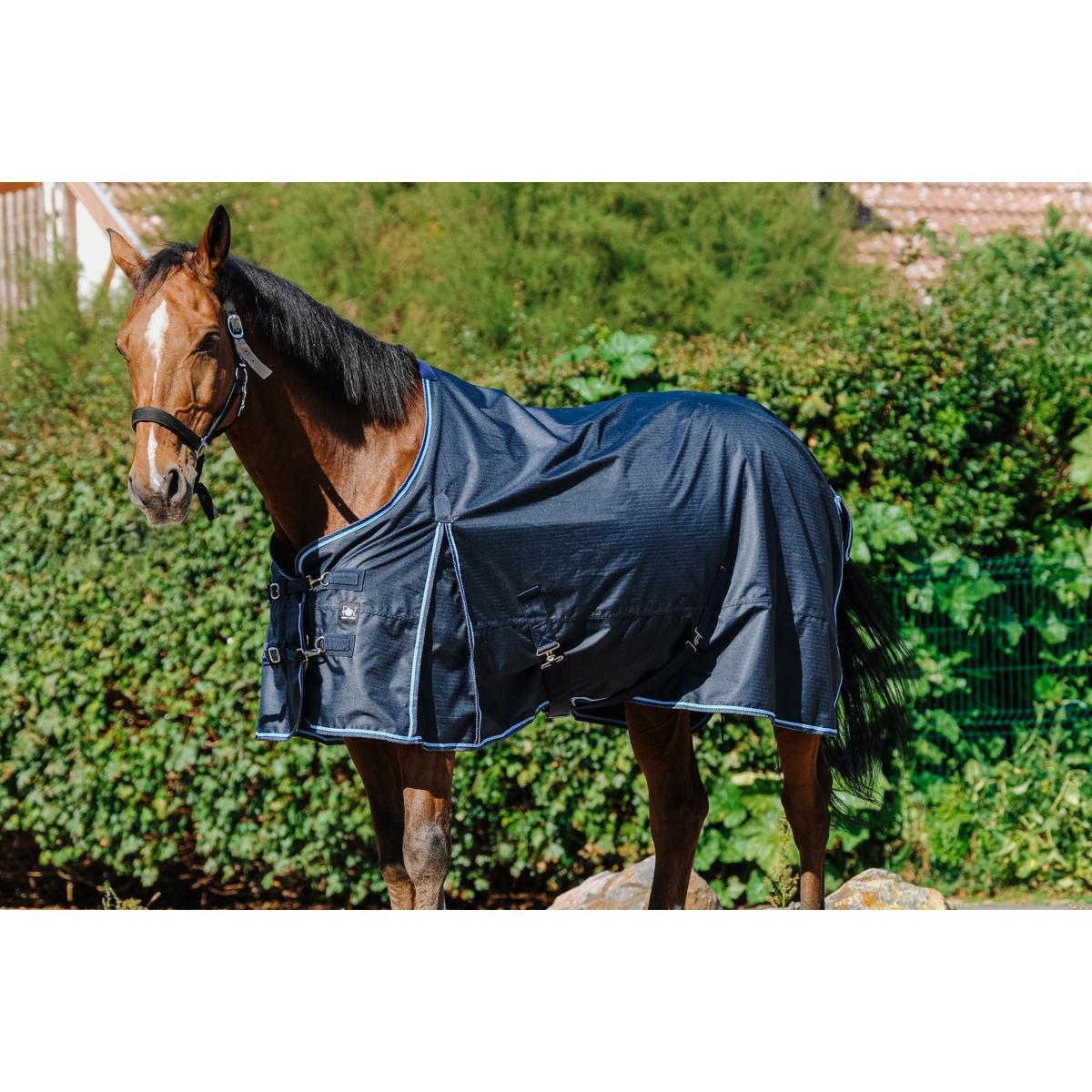 product/r/i/riding-world_400_896_063_ambi2.jpg