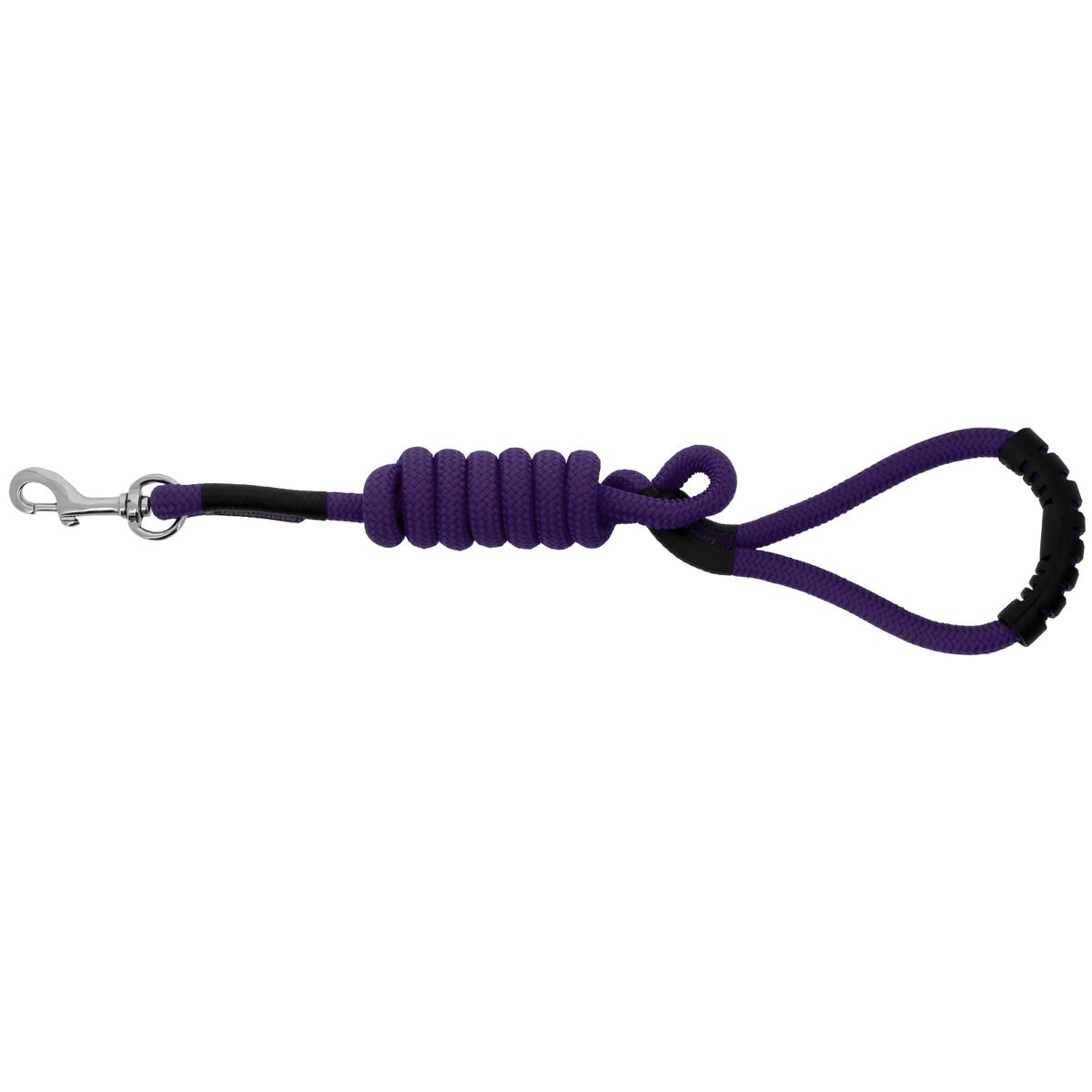 product/r/i/riding-world_409056017_violet_1.jpg