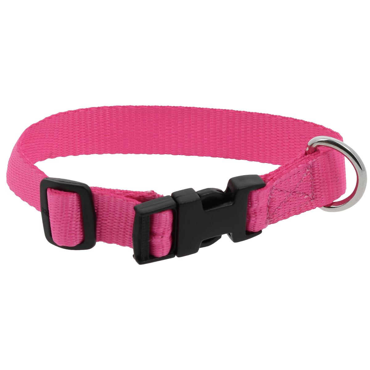 product/r/i/riding-world_409058430_rose_1.jpg