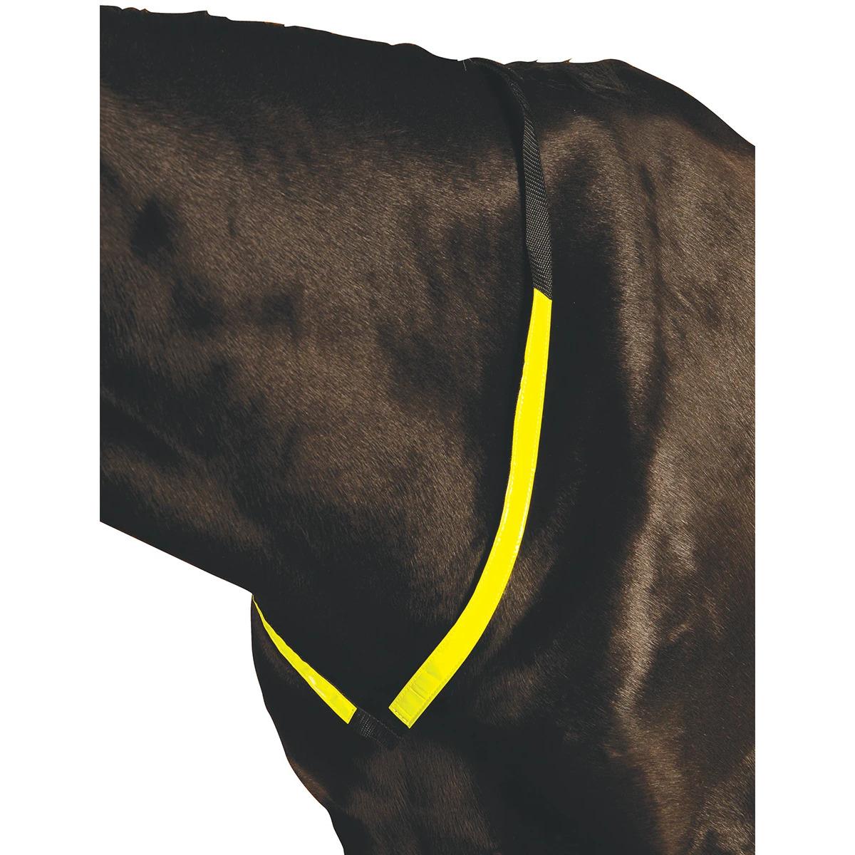 product/r/o/roma_608091_yellow_1.jpg