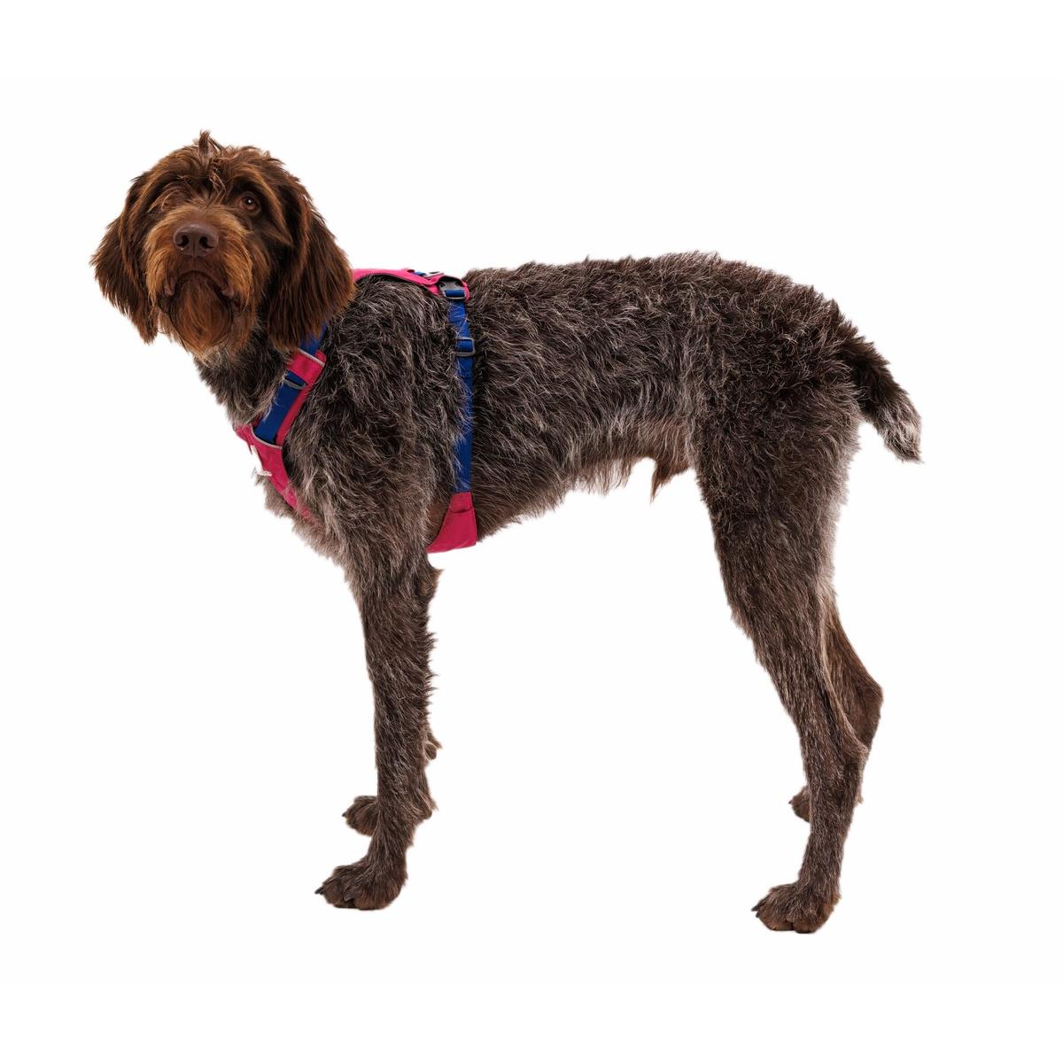 product/r/u/ruffwear_30821-655_4.jpg