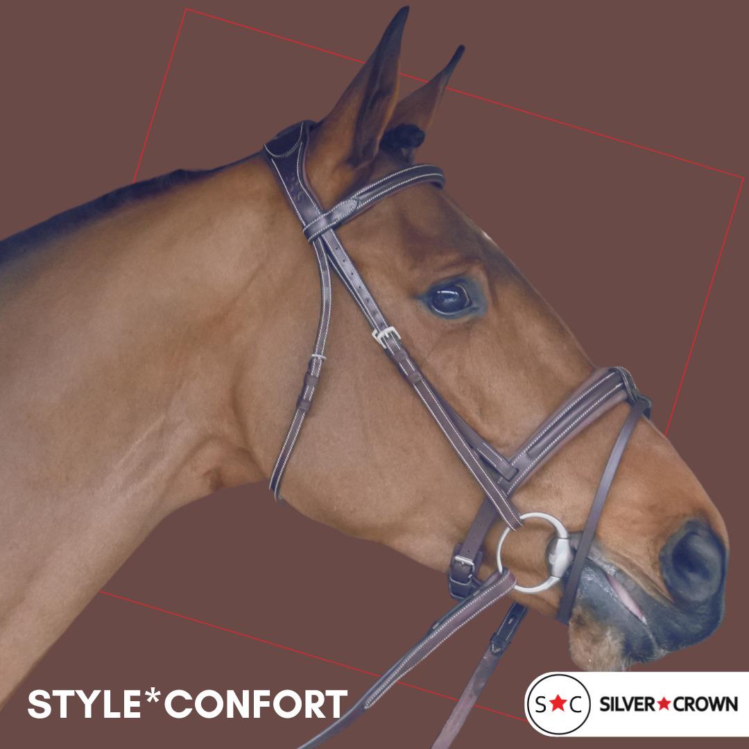 product/s/i/silver-crown_scbcfn_australian-nut_2.jpg