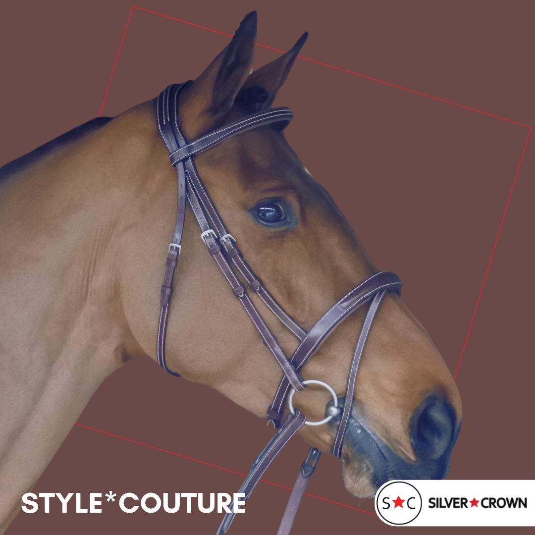 product/s/i/silver-crown_scbctn_australian-nut_2.jpg