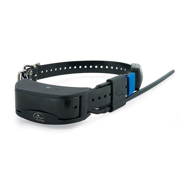 product/s/p/sportdog_cy0921_0.jpg