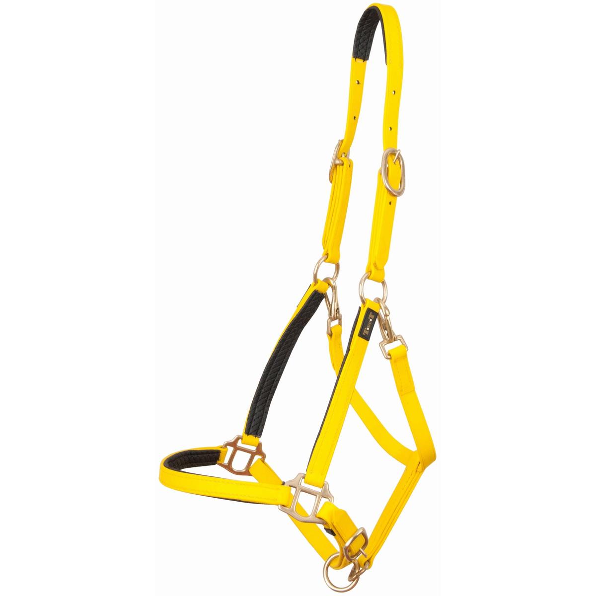 product/t/-/t-de-t_biolic01_jaune_0.jpg