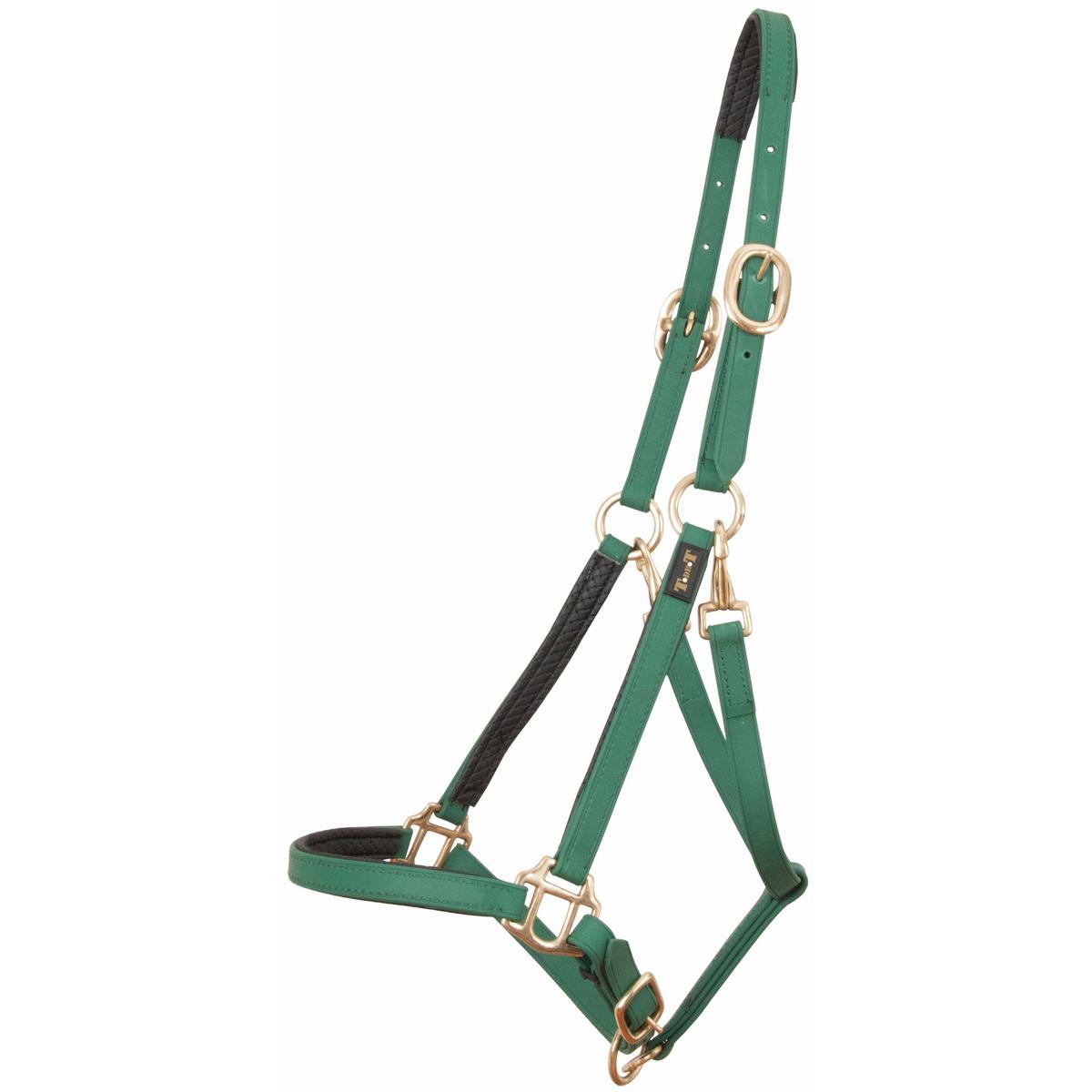 product/t/-/t-de-t_biolic01_vert-fonce_0.jpg