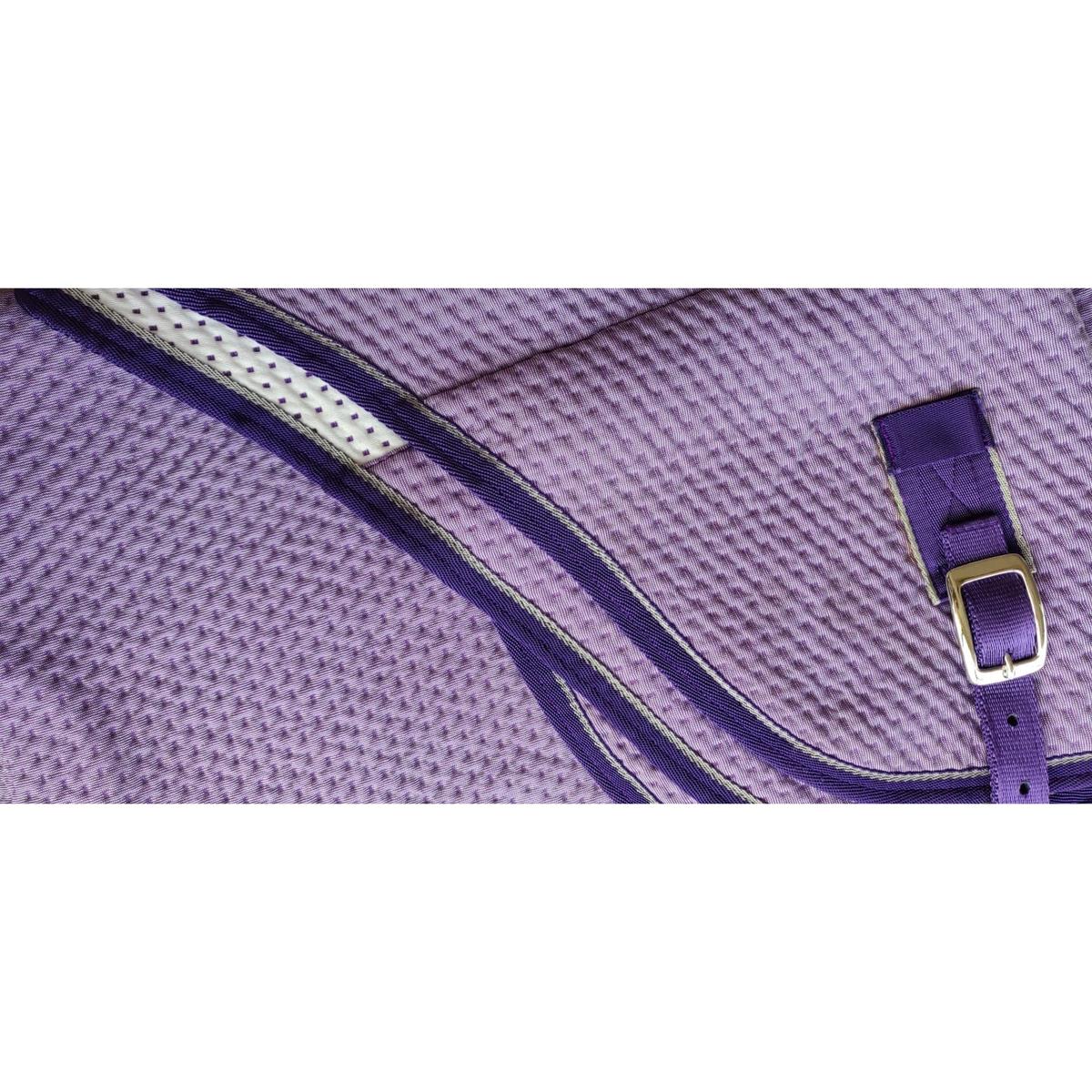 product/t/-/t-de-t_chep02_prune_1.jpg