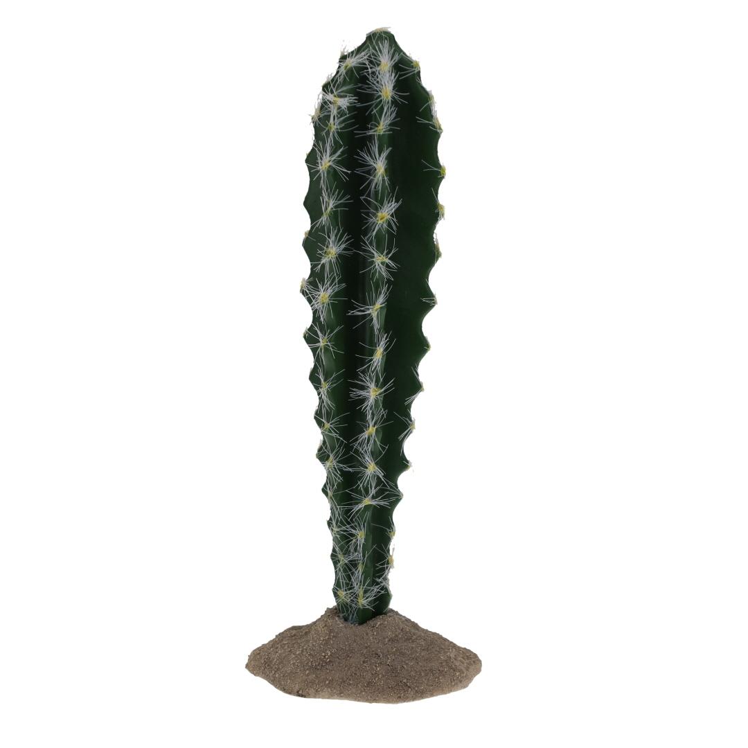 product/t/e/terra-della_243-482735_0.jpg