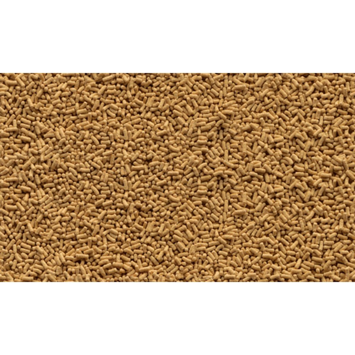 product/t/e/tetra_396201_1.jpg