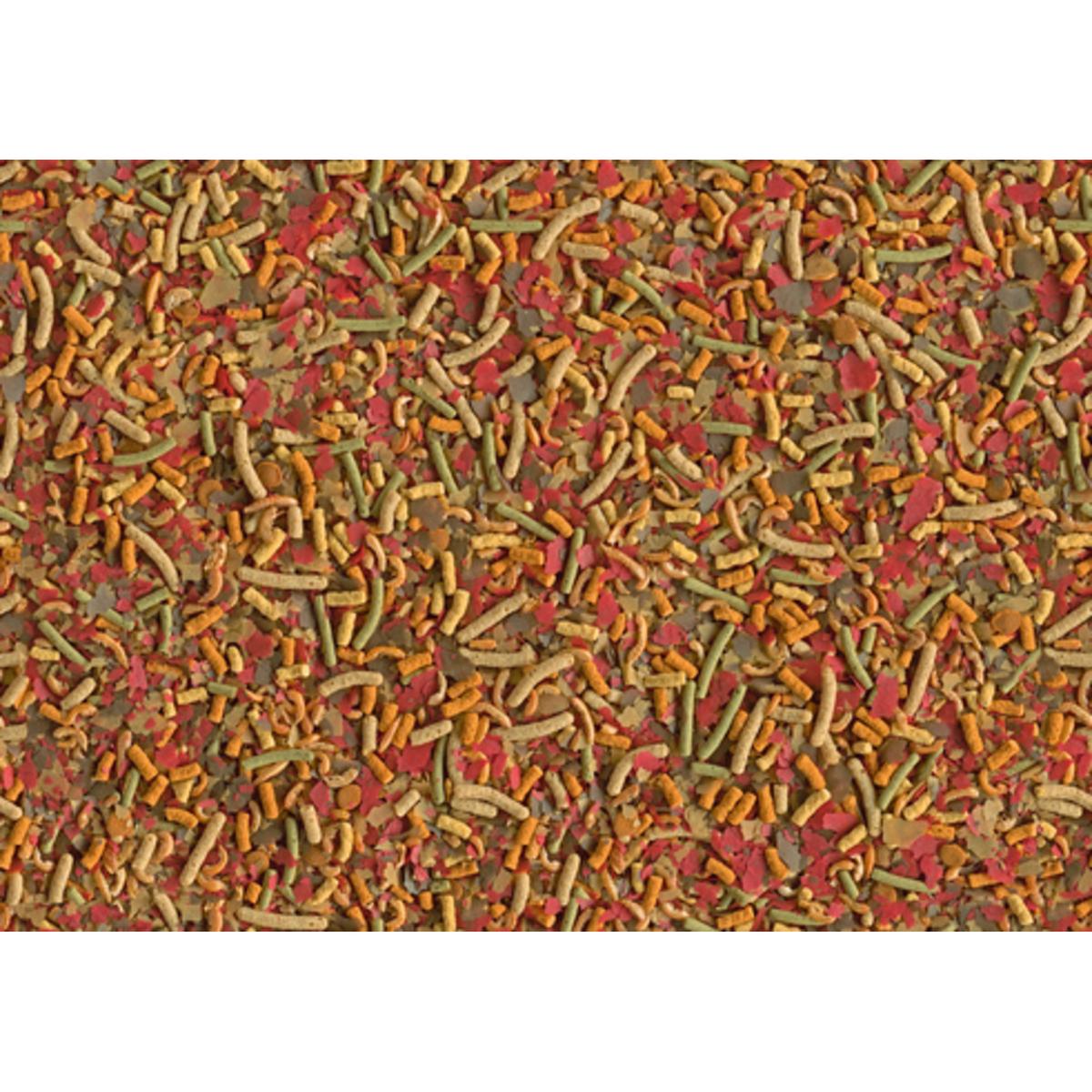 product/t/e/tetra_396209_1.jpg